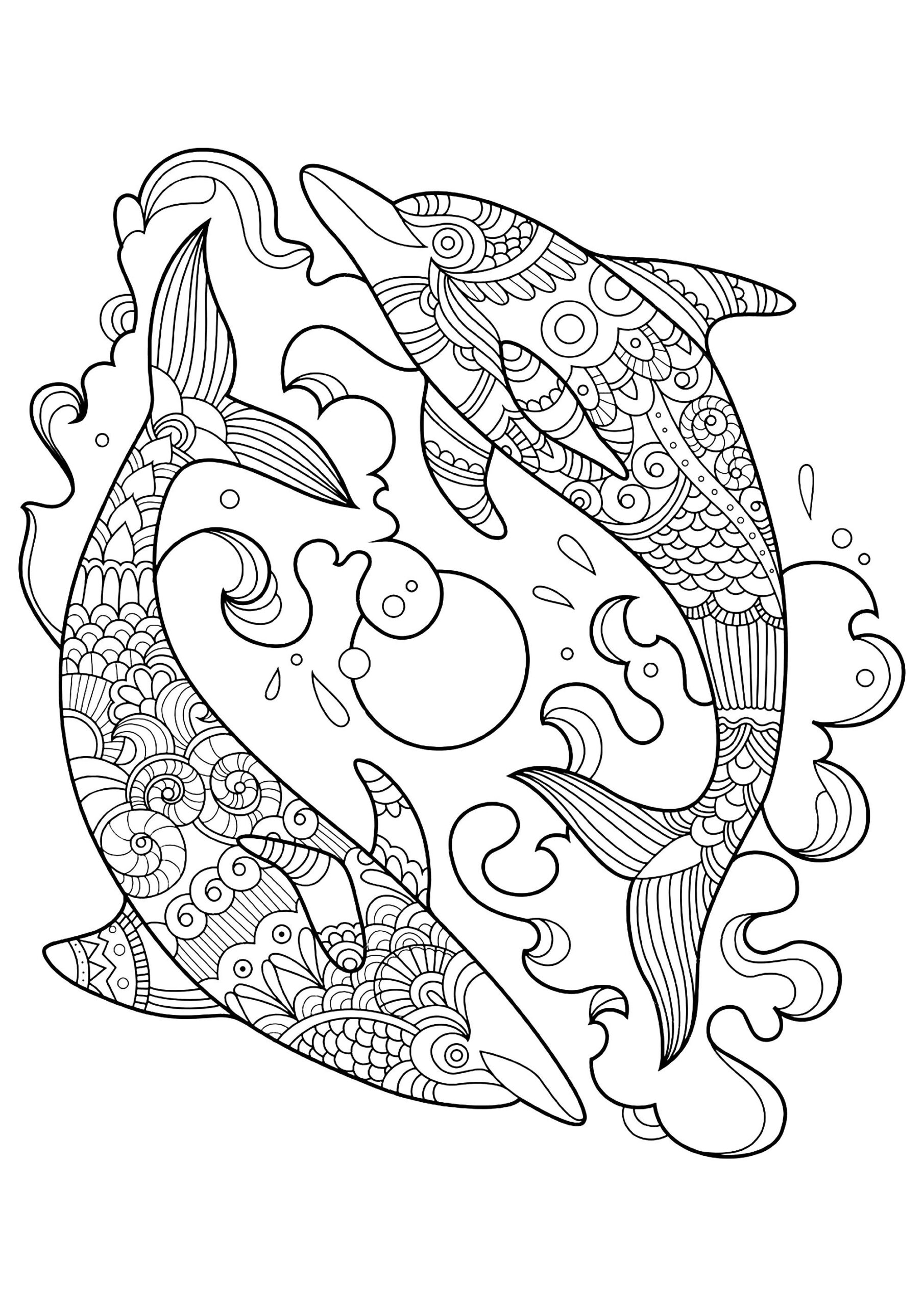 Two Beautiful Dolphins Dolphin Coloring Pages Two Beautiful Dolphins Dolphin Coloring Pages