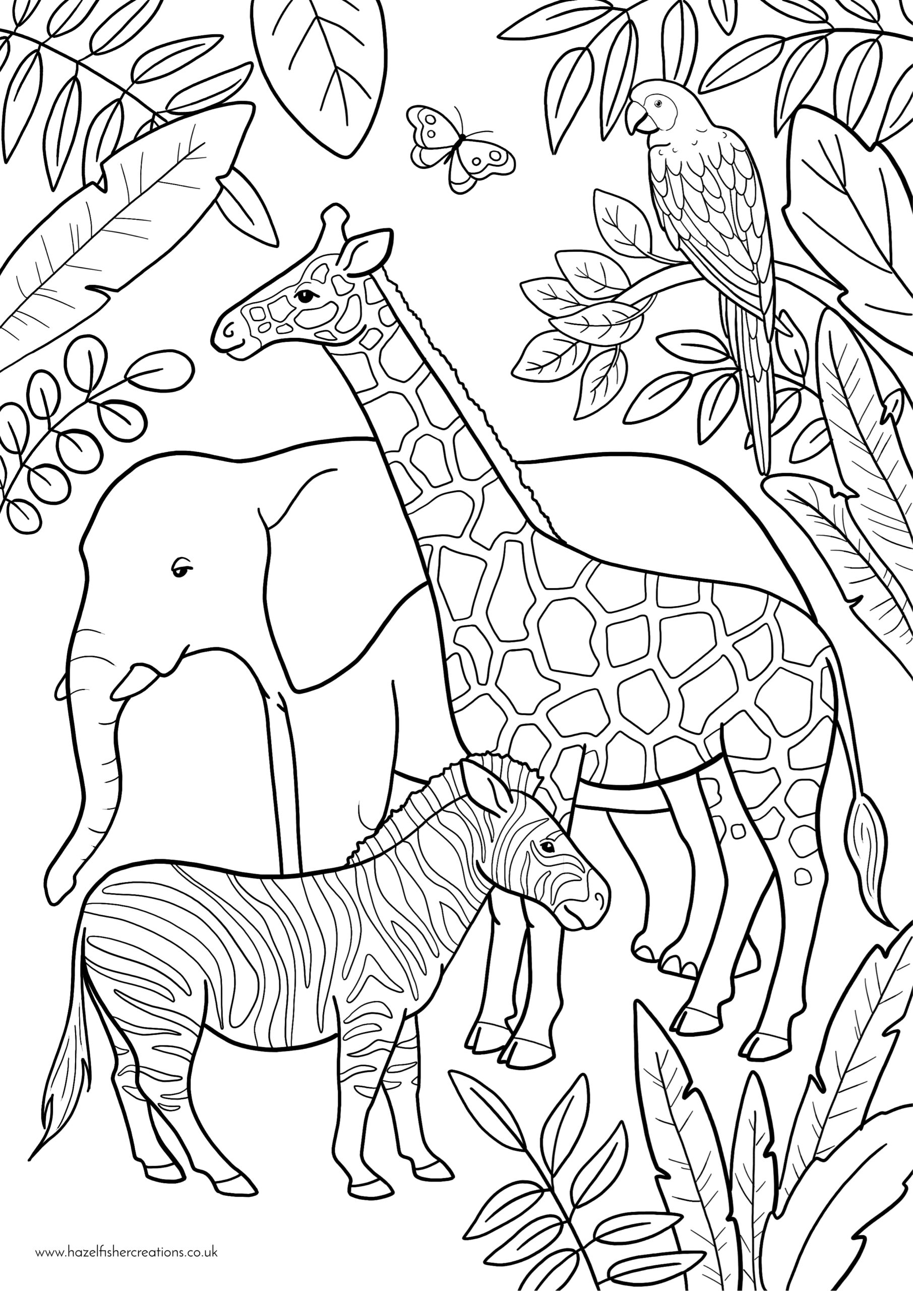 animals colouring in pages